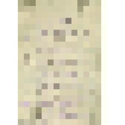 Документы  периода  становления  Сольвычегодского  музея