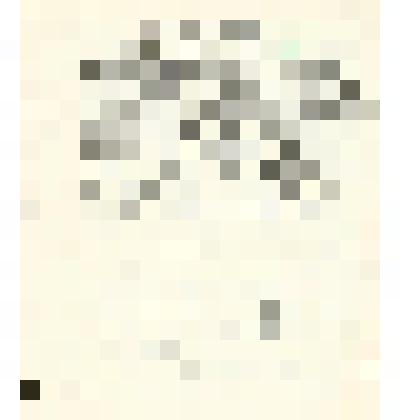 Письмо Ежову Н.И. О желании участвовать в пропаганде литературного наследия В. Маяковского