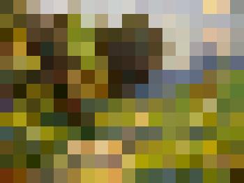 "Летний день". Картина