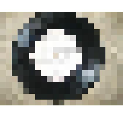 Пластинка. "ЛЕВ ЛЕЩЕНКО"