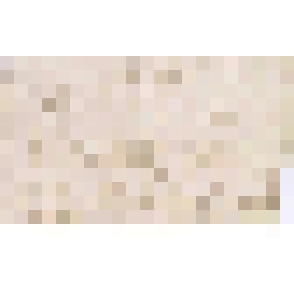 Записка от К.Г. Клипикова Г.П. Гусеву, 1872 г