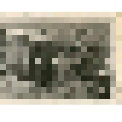 Фотография. Иван Степанович Шангин