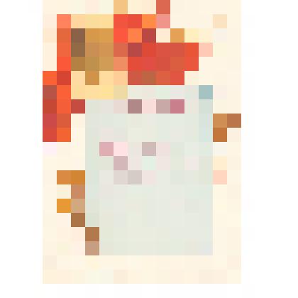 Бланк свидетельства