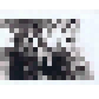 Фотография. Коллектив Половинкинского КЛПК. Из комплекта: История развития лесного хозяйства на территории Кондинского района