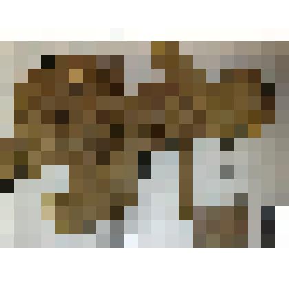 Патронташ брезентовый американский