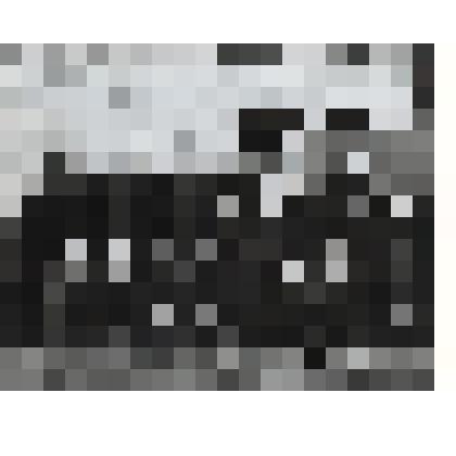 Фотография. Встреча ветеранов ВОВ села Виткулово Сосновского района