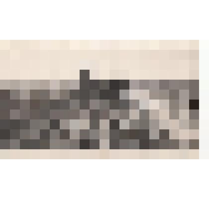 Фото/чб. Энгельсская опытно-мелиоративная станция. Возделывание поля трактором. 1960-е