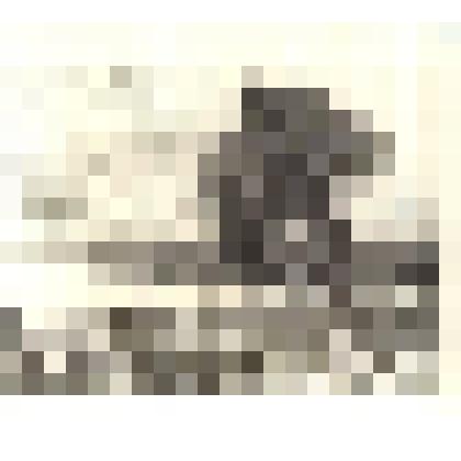 На вершине холма