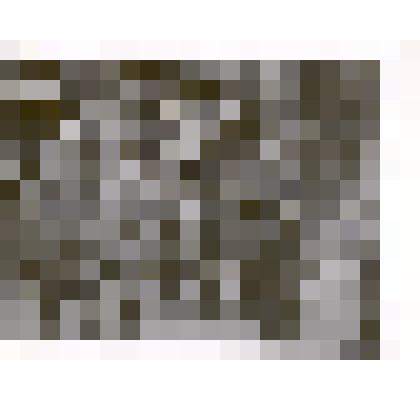 Фотография: генерал-майор Подшивайлов Денис Протасович среди офицеров. Копия