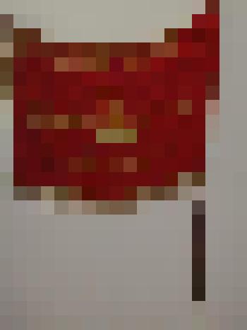 Знамя "Пионерская организация Тюменцевского района Алтайского края"