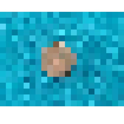 Монета разменная 1 копейка 1902г