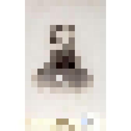 Фотография черно-белая. Зарако-Зараковский Иван Иванович