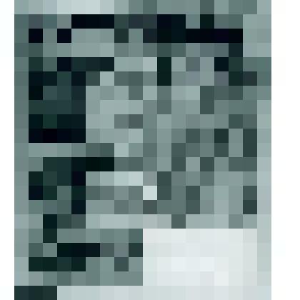 Негатив ч/б "Газеты "Ухта" и "Правда""