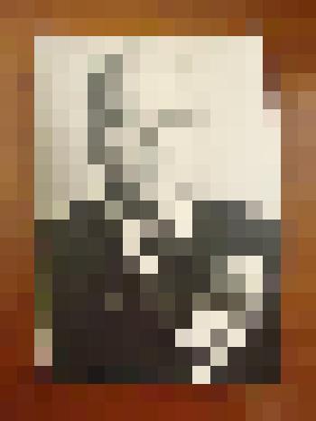 Фотопортрет Жеребцов В.И