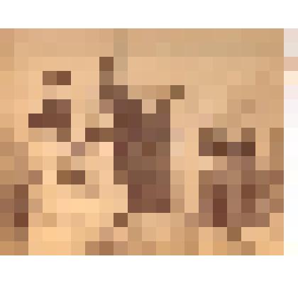 Фотография "Групповой портрет жителей Нахичевани-на-Дону"