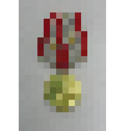 Медаль «Шестьдесят лет Вооружённых сил СССР»  Киселёва Ивана Васильевича