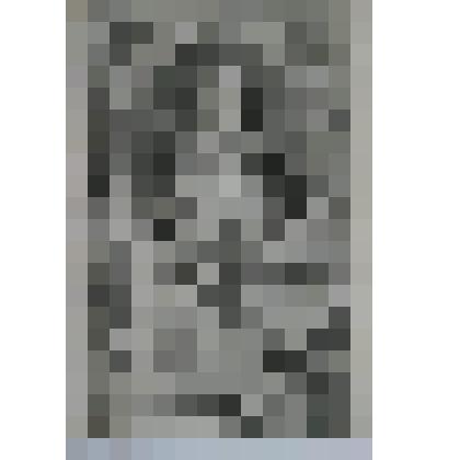 Портрет Елизаветы, королевы Англии, жены короля Генриха VII