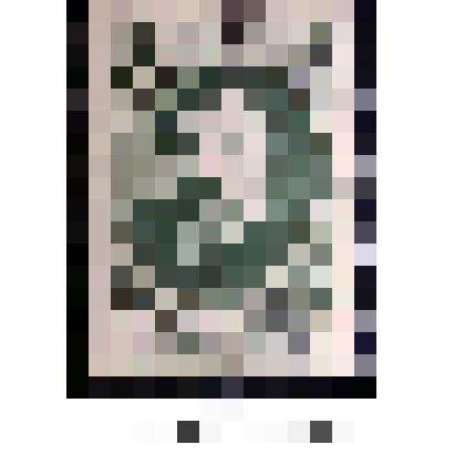 Марка, номиналом 15 копеек. Серия: 50-летие со дня смерти Н.Г. Чернышевского (1828 - 1889 гг.)