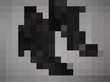 Полусапожки кожаные, женские  на каблуке с замком