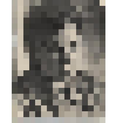 Фотография. Ворошилова Елена Николаевна