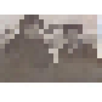 Фотография. Мужчины