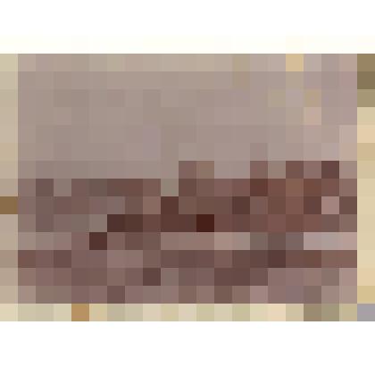 Ф/чб/к. Окраины Покровской слободы Самарской губернии 1899