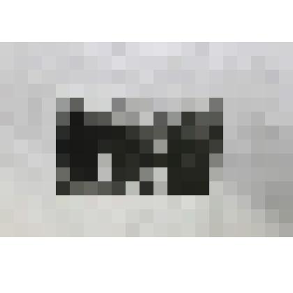 Фотография ч/б. Колонна на демонстрации