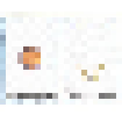 Удостоверение Шуева Владимира Алексеевича, выпускника Новосибирского Государственного Медицинского Университета 1984 г. к почетному знаку "Золотой фонд НГМУ"