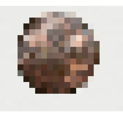 Монета. 10 копеек