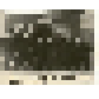 Фотография: III группа бригадиров комплексных и полевых бригад Каменского района