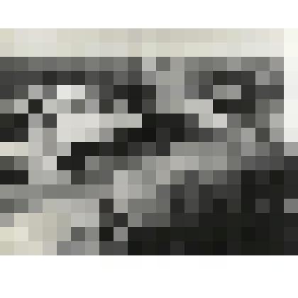 Фотография. ТНГС