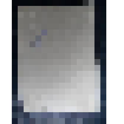 Фотопортрет погрудный профиль направо Красова Станислава Октавиановна (в юности)