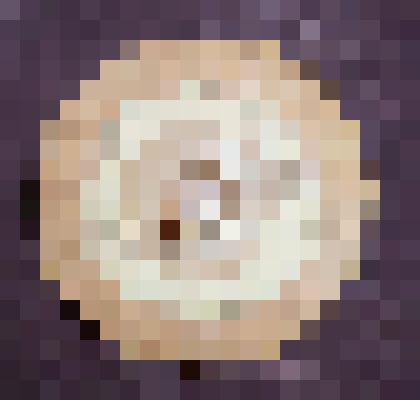 Крышка от туеса (новодел)