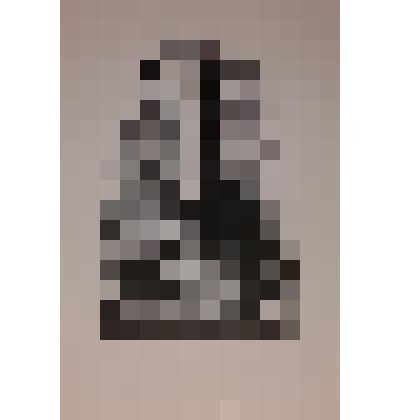 Exlibris S.I. Nodelman