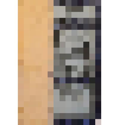 Книга. Д. Емлютин "Шестьсот дней и ночей в тылу врага"