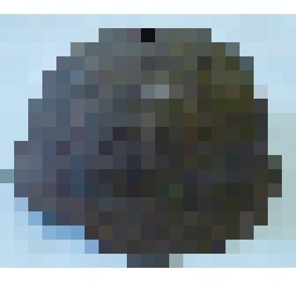 Каска немецкой армии