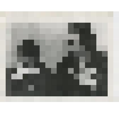 Фотокопия ч/б. Рогожина Т.Г. и Панфилова М.И. на встрече с химчанами в ДК "Родина"