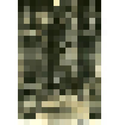 Фотография. Церковь Николы на Щепах