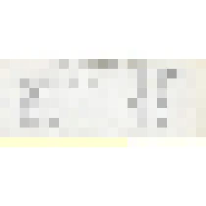 Фрагмент листа 19. Текст