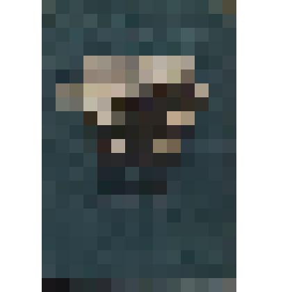 Книга. Из жизни крепостных крестьян России XVIII-XIX веков.Москва: УЧПЕДГИЗ, 1963г