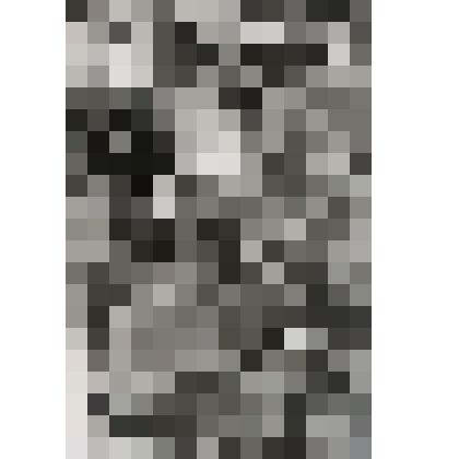 Фото Горная река Таркулик,  цветущие жарки