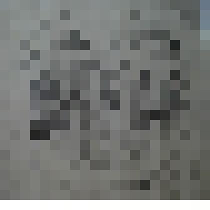 «Царевна-лягушка»