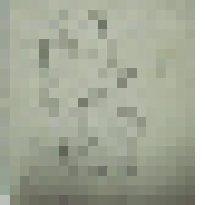 Воины, из альбома "Зарисовки из римской истории". Рисунок