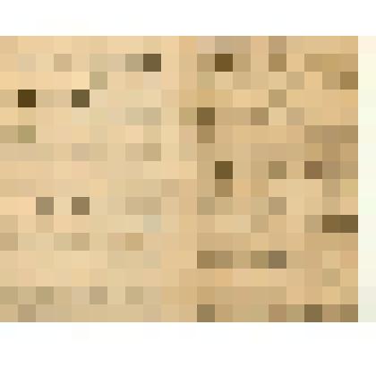 Документ. Письмо Александра Каминского к родным, от 1 декабря 1896 г