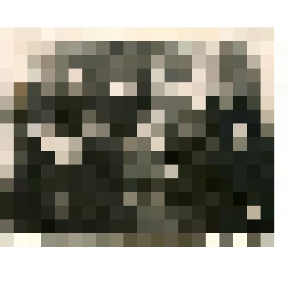 Фото групповое. Золотых Варвара Ефимовна, учитель русского языка и литературы, с преподавателями Аверинской семилетней школы