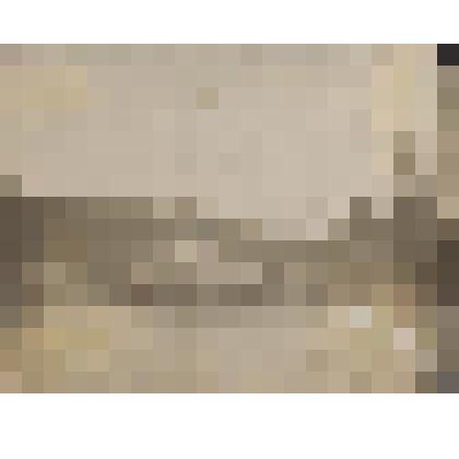 Фотография. Драга