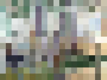 Этюд. Во дворе дома