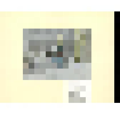 Введение во Храм. Иллюстраций к Библии