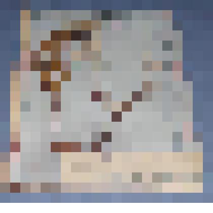 Ботаническая коллекция. Кизильник семейство розоцветные, гора Самохвал, северный склон