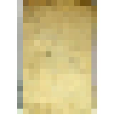 Брошюра. Статьи ко Второй Части Одиннадцатого Тома Свода Законов Российской империи, повелением Государя Императора Николая Первого составленного.- (Прод. 1906 г.)